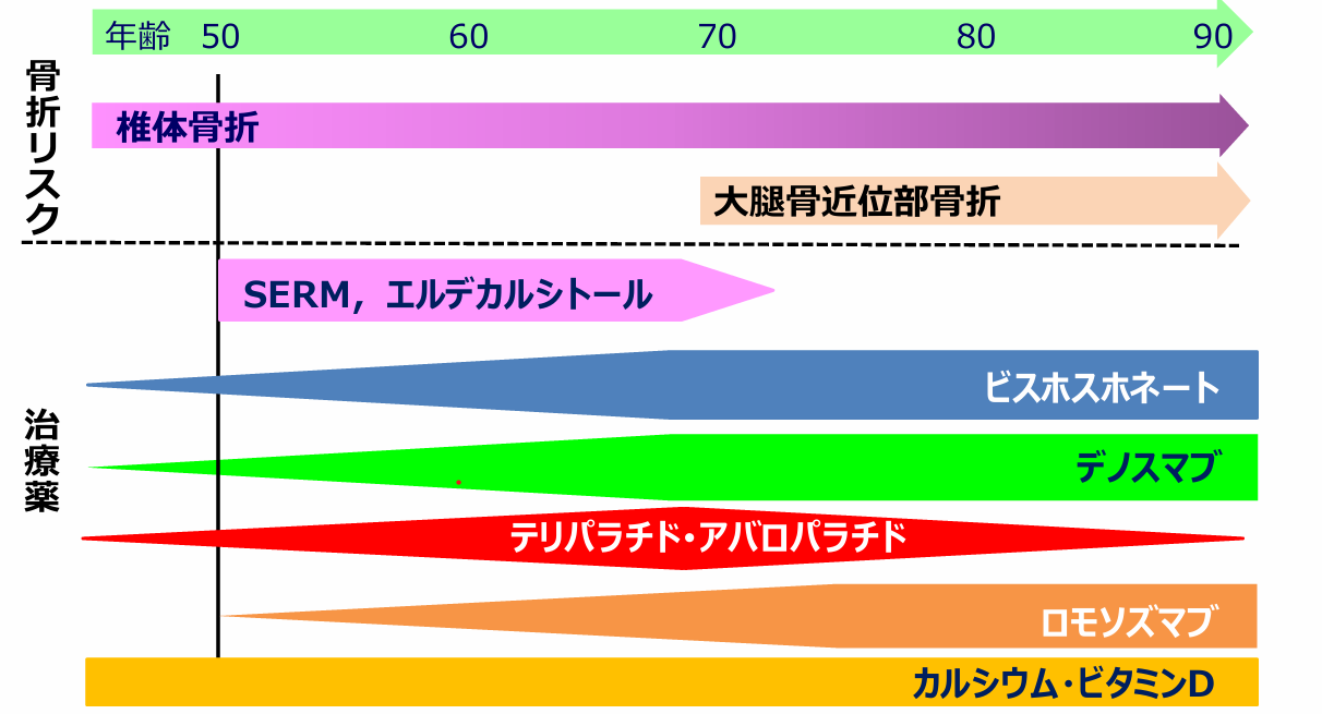 骨粗鬆症の治療